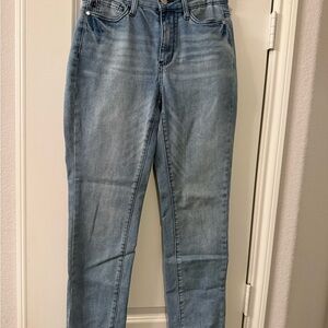 Judy Blue Classic Denim Straight Leg Jeans
